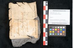 Foto (Objekt + Etikett) von Annularia longifolia Brongniart (NHMW-GEO-2024-0188-11276)